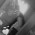 Picture of Sherika Prendergast
